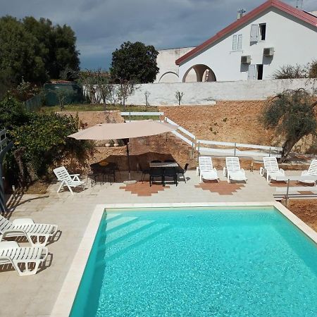 Terre Di Mare Near The Sandy Beach With Pool, Parking & Wifi フォンターネ・ビアンケ エクステリア 写真