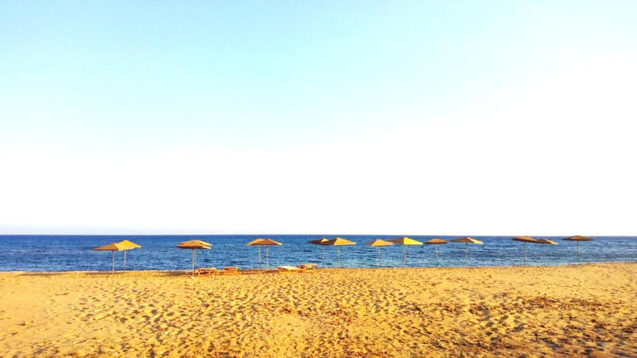 Terre Di Mare Near The Sandy Beach With Pool, Parking & Wifi フォンターネ・ビアンケ エクステリア 写真